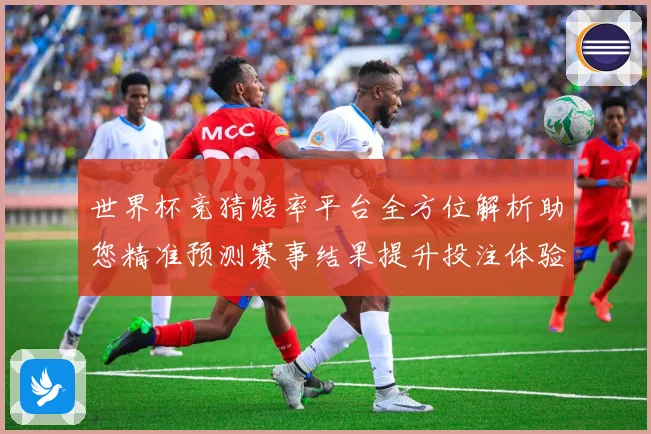 世界杯竞猜赔率平台全方位解析助您精准预测赛事结果提升投注体验