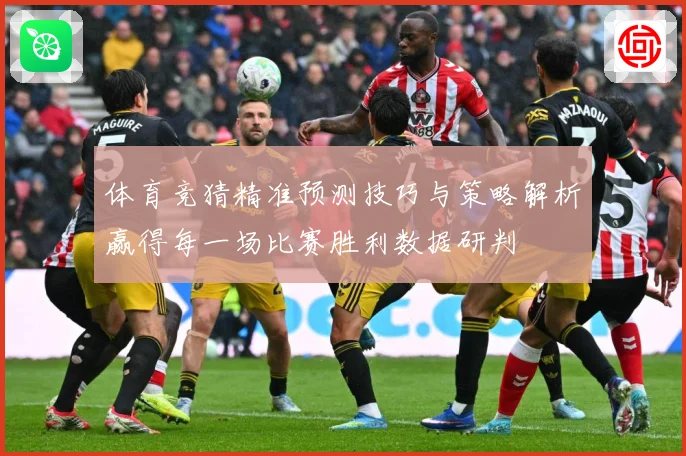 体育竞猜精准预测技巧与策略解析赢得每一场比赛胜利数据研判