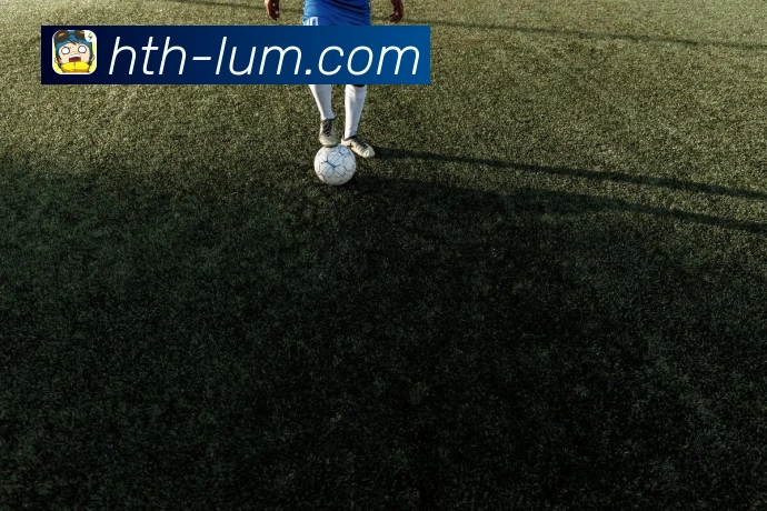 华体会平台展示图